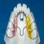 images/Allineatori/Img05.jpg
